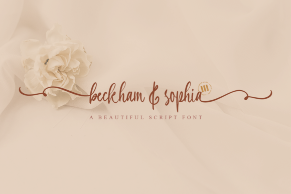 Beckham Sophia: A Handwritten Typeface for Editorial Warmth
