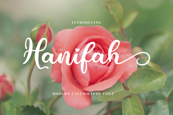 Hanifah Font: Elevate Your Brand Identity