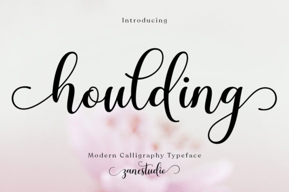 Houlding: A Script Font for Clearer Campaigns