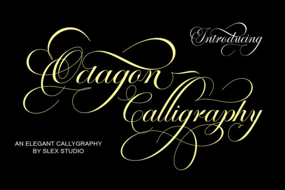 Octagon Calligraphy: A Premium Script Font for Campaigns