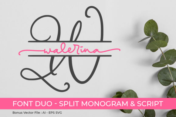 Walerina Font Review: A Versatile Script for Branding